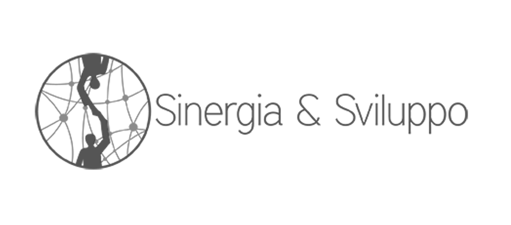 sinergia e sviluppo logo partner bw